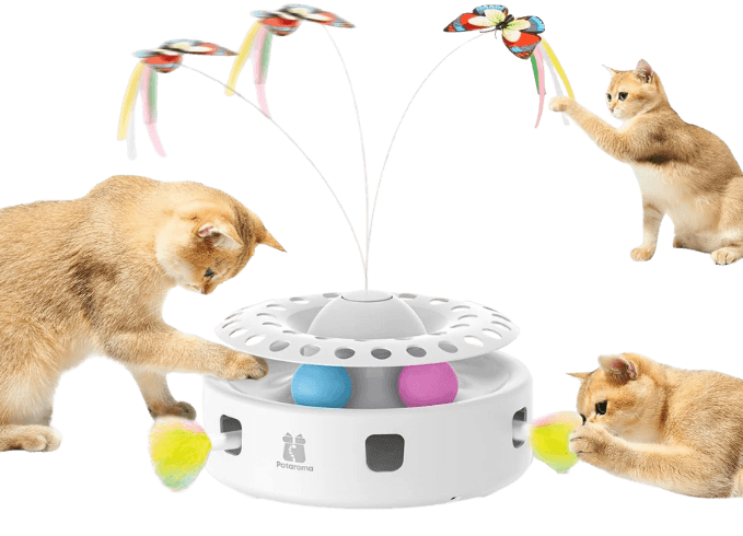 3 in 1 Automatic Interactive Kitten Toy