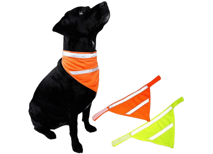 Reflective Bandana