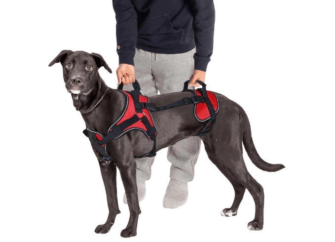 Multi-functional Full Body Dog Lifting Harness