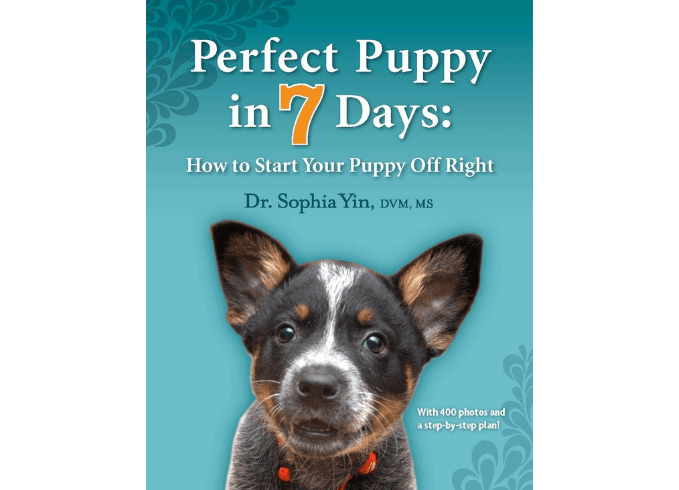 Perfect Puppy in 7 Days (book)