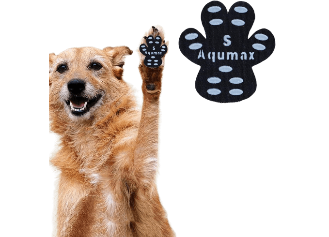 Anti Slip Paw Grips