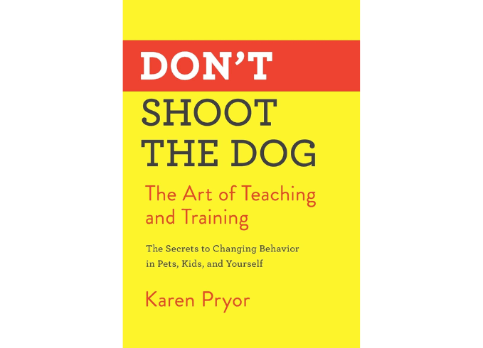 Don’t Shoot the Dog