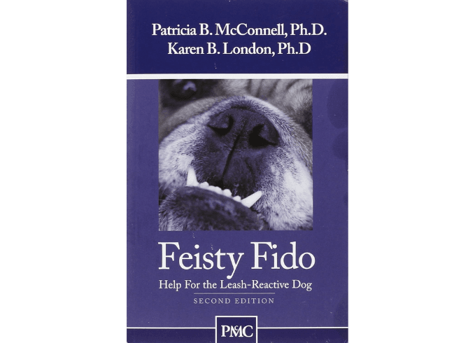 Feisty Fido: Help for the Leash Reactive Dog