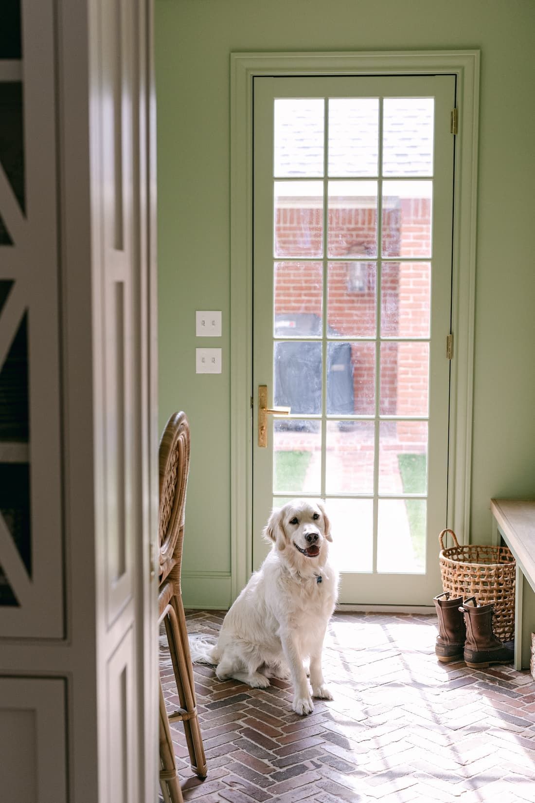 A white dog is sitting in front of a door in a room.
