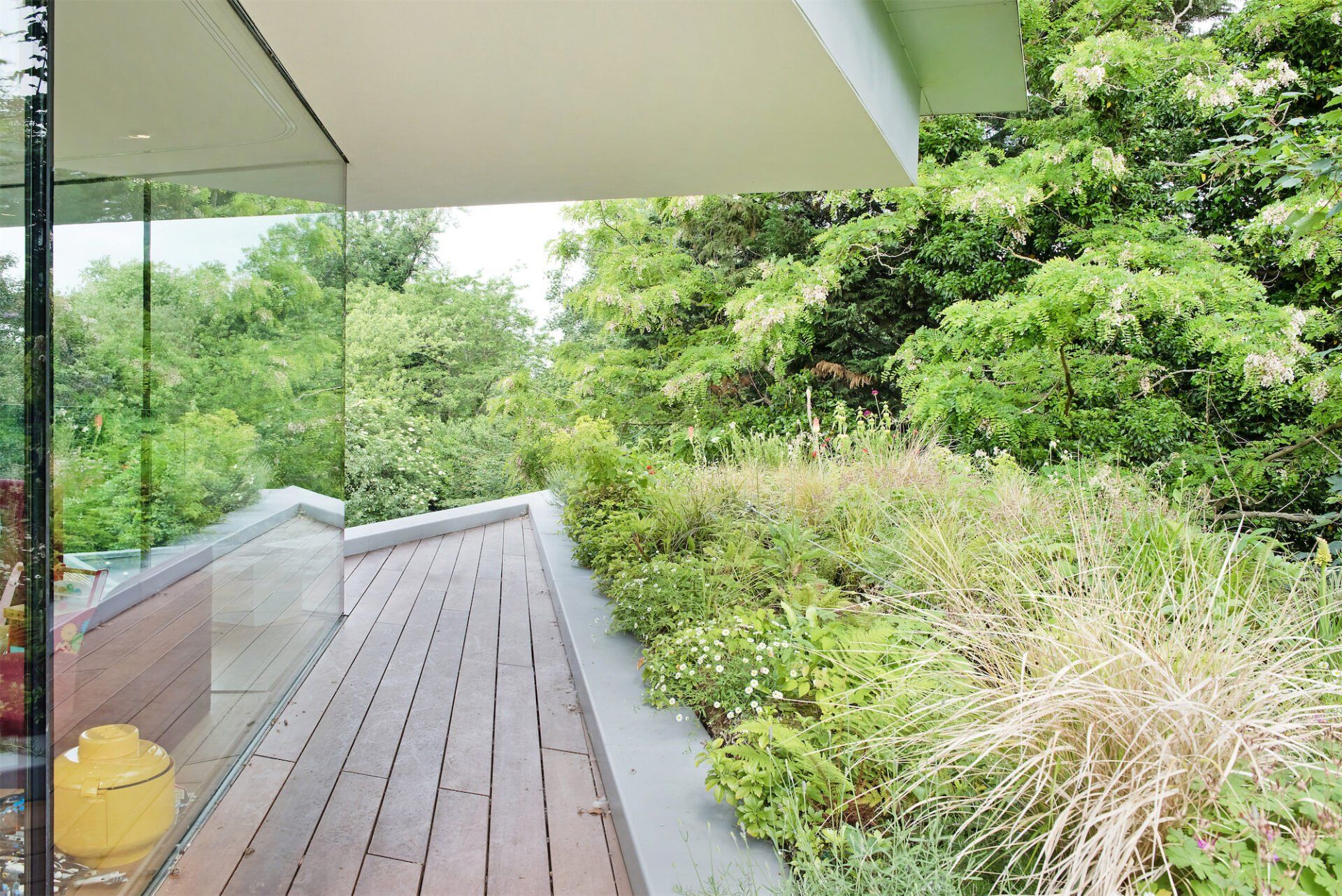 Modern patio with wooden deck, glass railing, and lush green garden beside a building