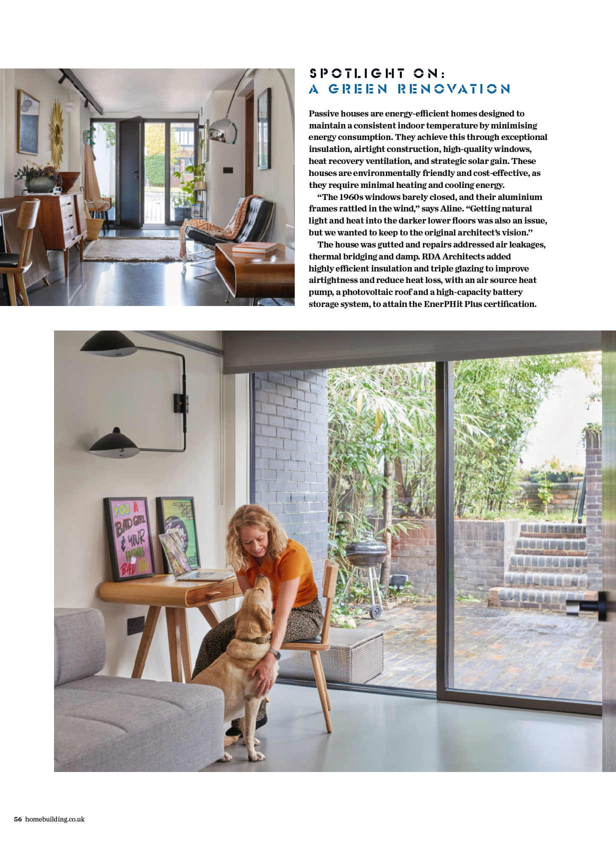 Woman painting a dog in a bright, modern room beside sliding glass doors