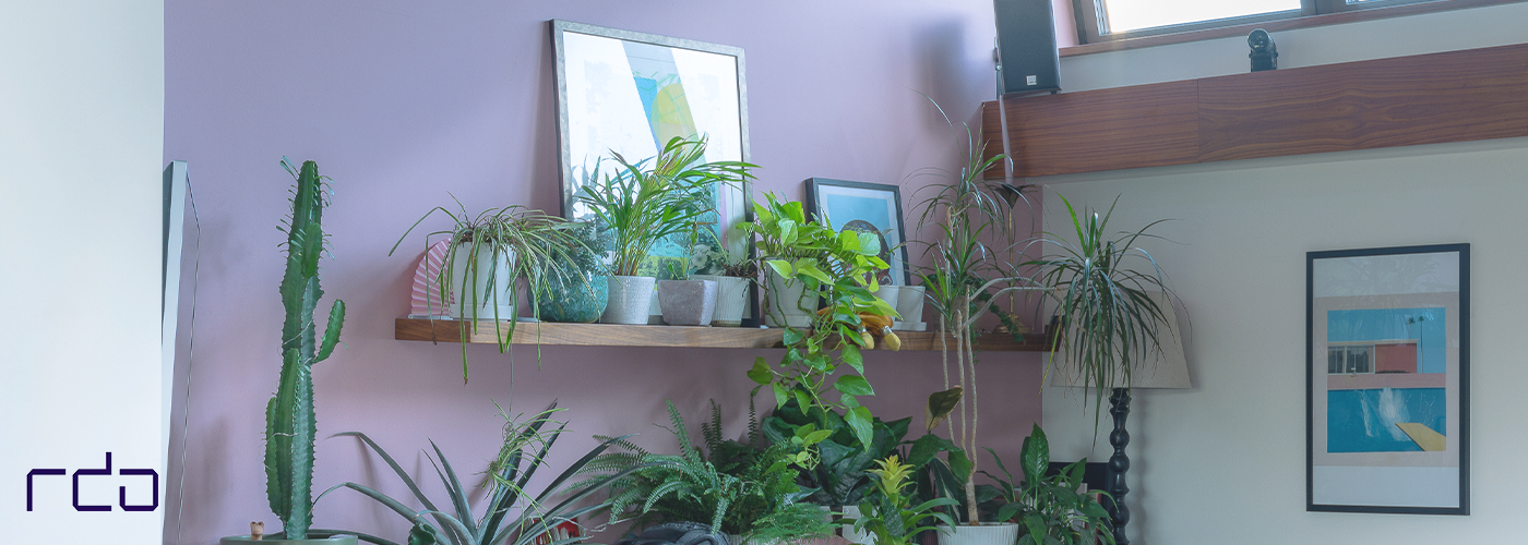 5 Ways To Make Your Home Healthier, Cleaner & Safer