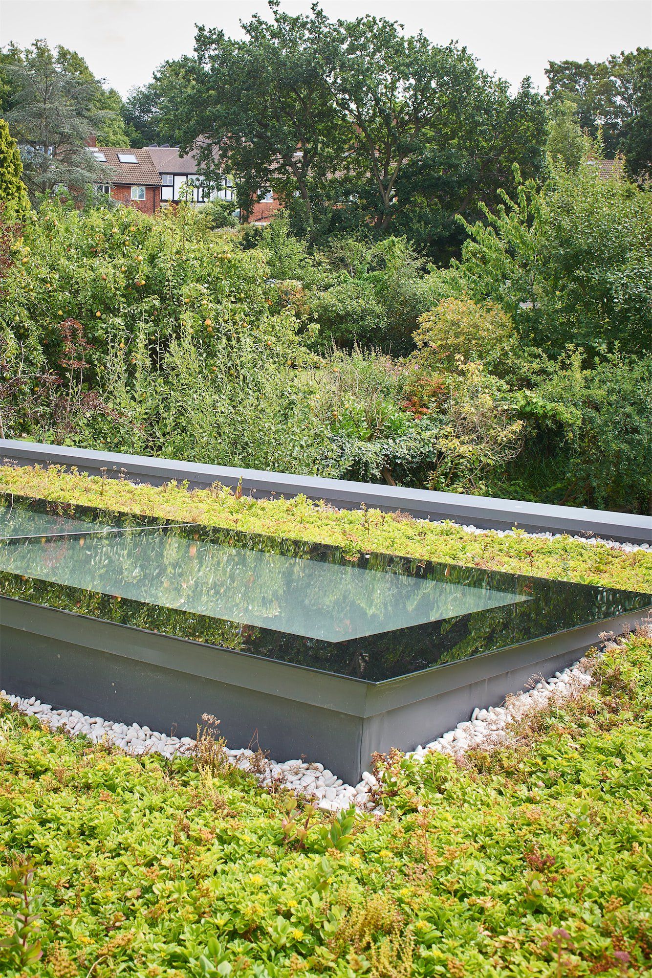 Rooftop skylight bordered by greenery, with trees and houses in the background.