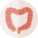 003-customer-support