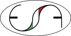 Logo ovale in bianco e nero con linee curve astratte e dettagli rossi e verdi
