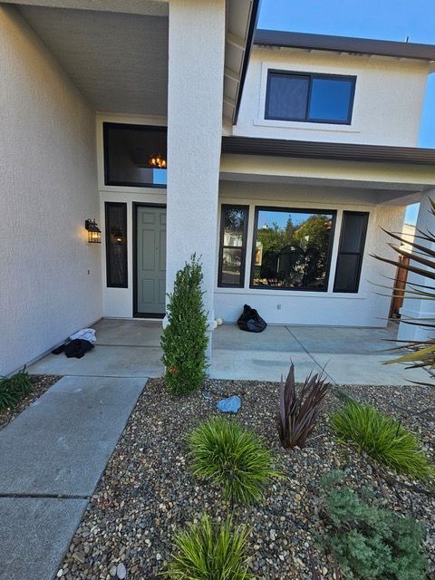 Front entrance of a modern house with a white door, window, and drought-tolerant front yard landscaping.