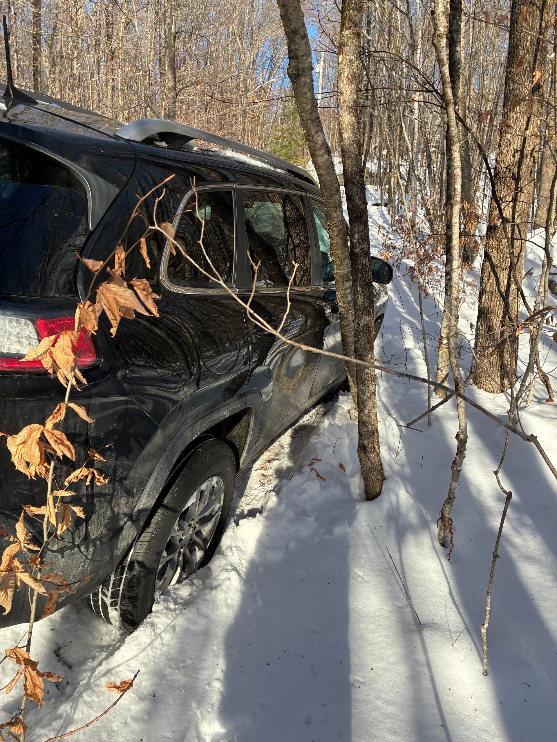 A black SUV partially stuck in deep snow, positioned between thin trees in a winter forest. MAACS Tow LLC