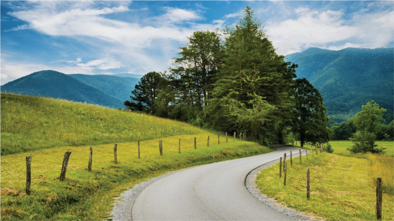 Cades cove trail