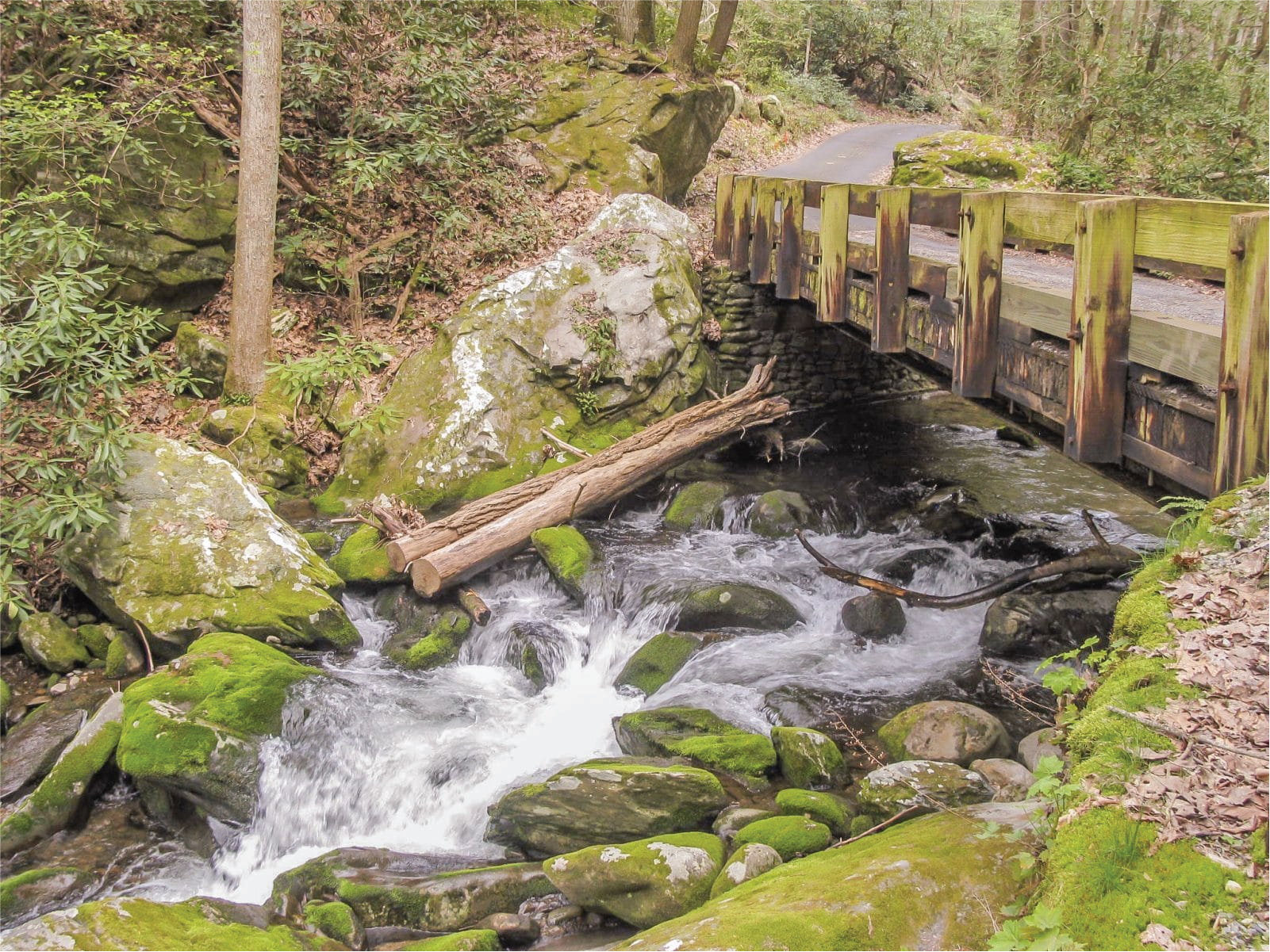 Roaring Fork Motor Trail