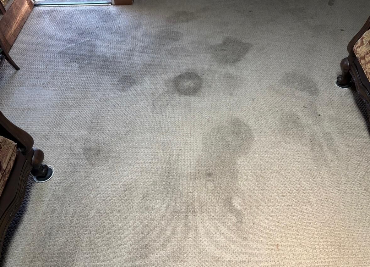Carpeted living room floor with several dark water stains near a sofa and chair.
