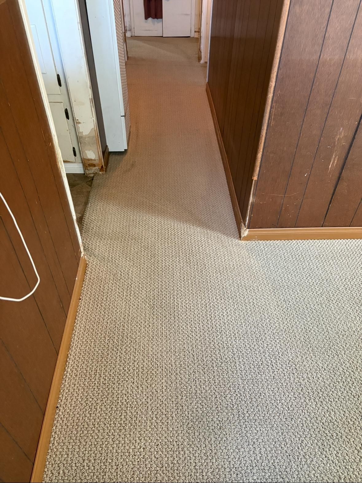 Narrow carpeted hallway with wood-paneled walls and white doorframes.