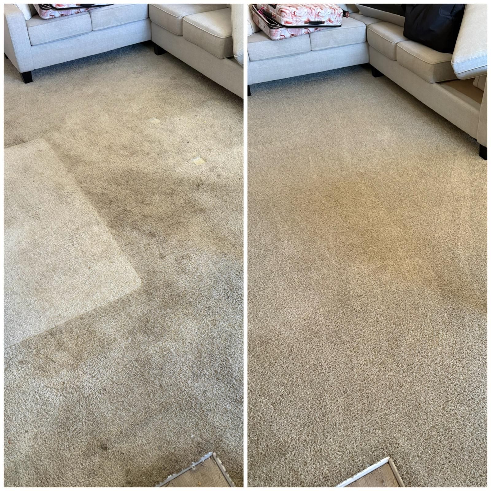Before-and-after view of a beige carpet, showing a cleaned section beside a stained area in a living room