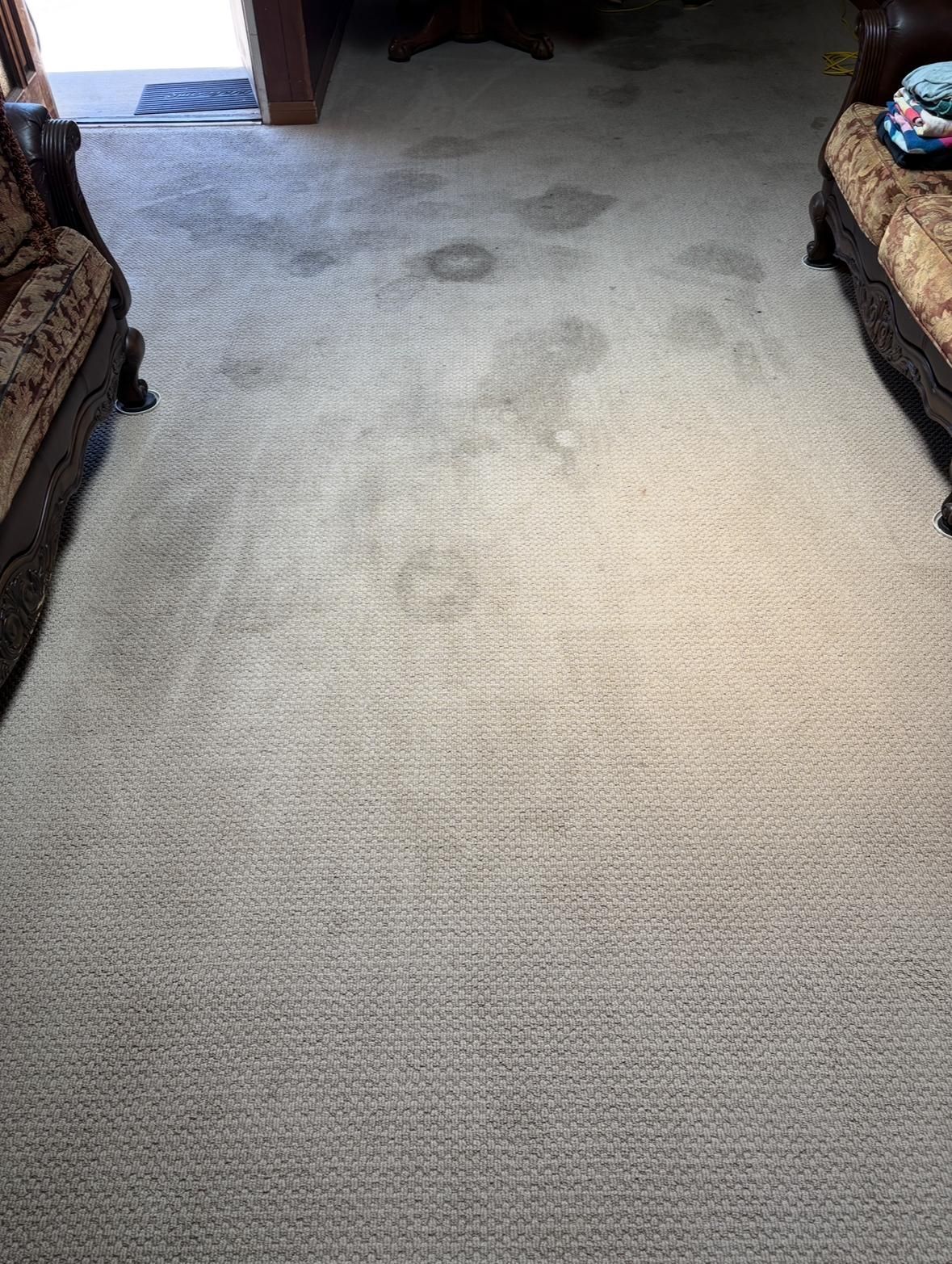 Carpeted hallway with dark stains leading to a doorway, bordered by upholstered furniture on both sides