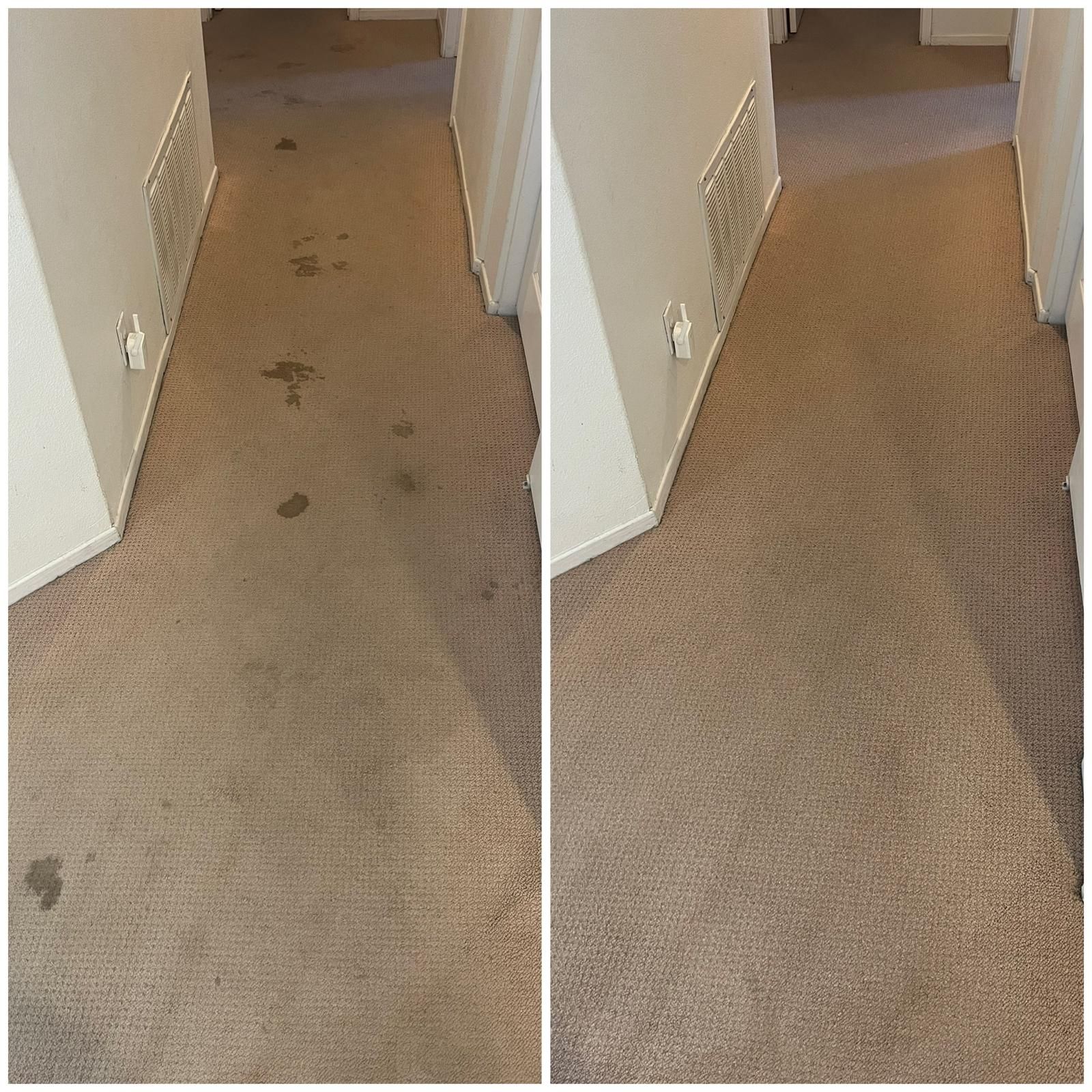 Hallway carpet before and after cleaning, showing visible stains removed on the right side