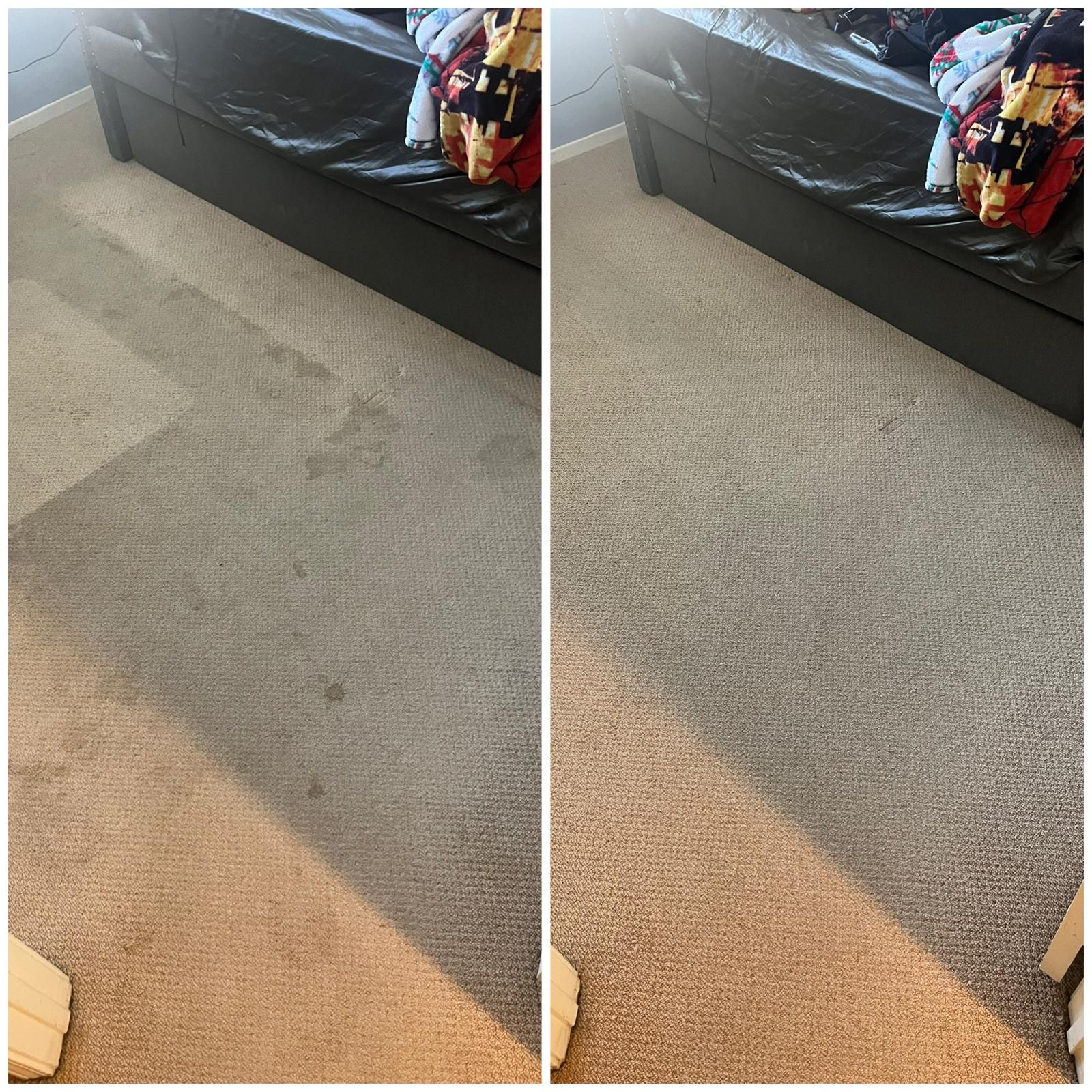Side-by-side carpet photos showing a lighter cleaned section and a darker stained section beside a black bed.