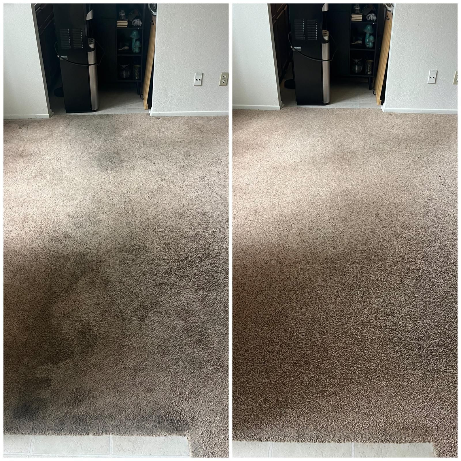 Side-by-side carpet comparison: stained darker left panel and cleaner tan right panel in a doorway.