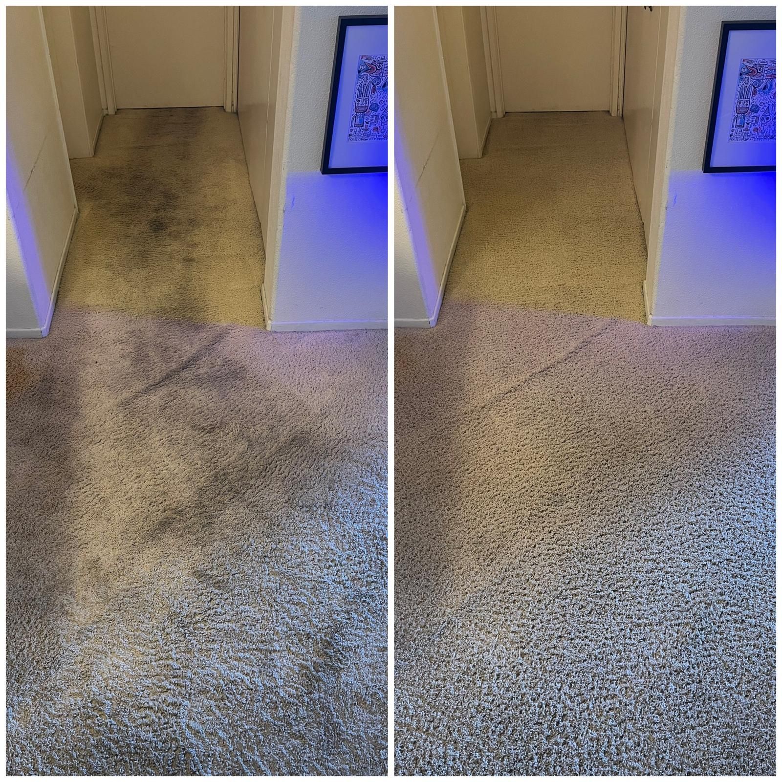 Side-by-side carpeted hallway with a dark stain or shadow on the floor near a doorway.