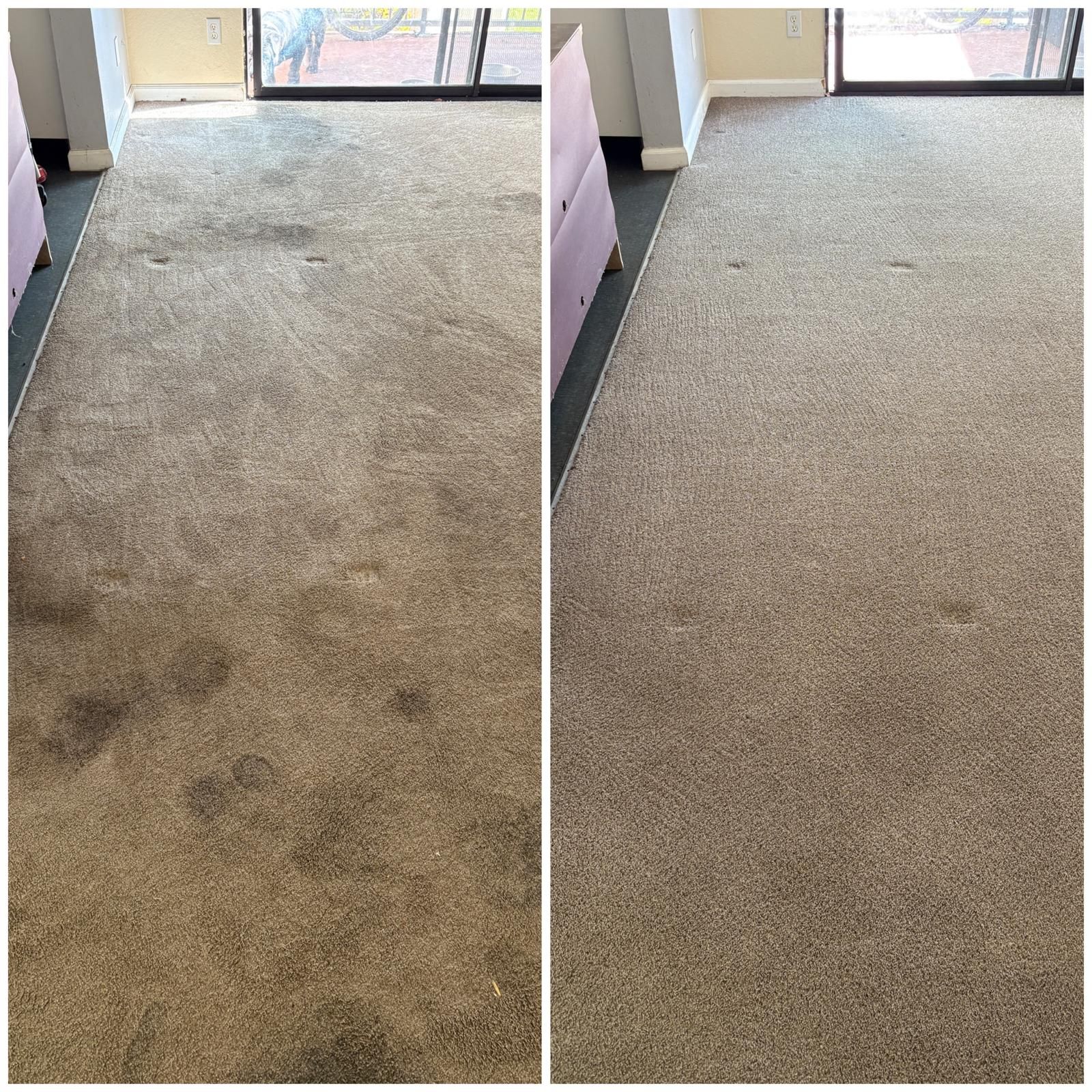 Before-and-after carpet cleaning in a hallway: stained beige carpet beside cleaner, lighter carpet.