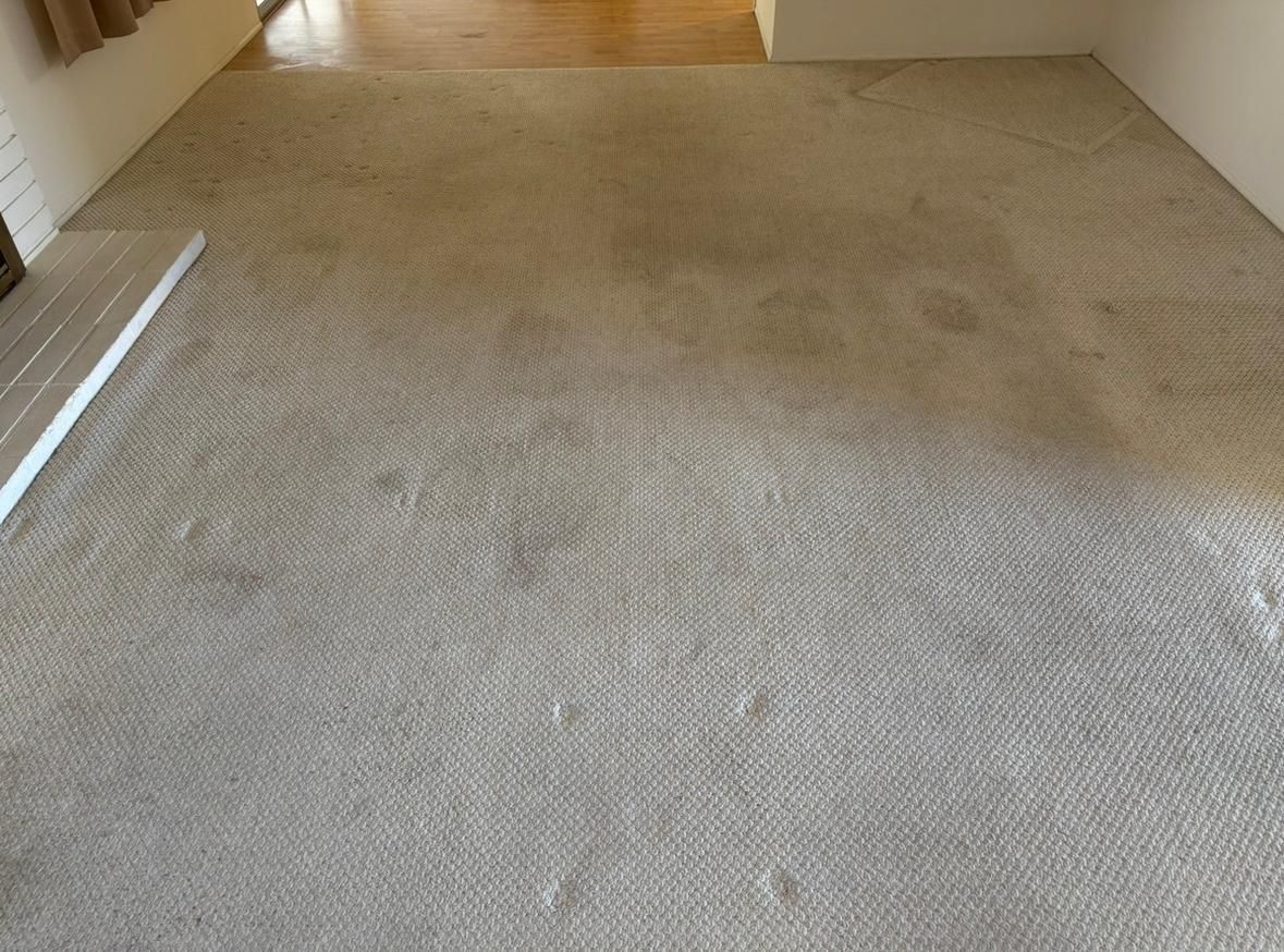 Dirty beige carpet in a hallway with visible stains and wear