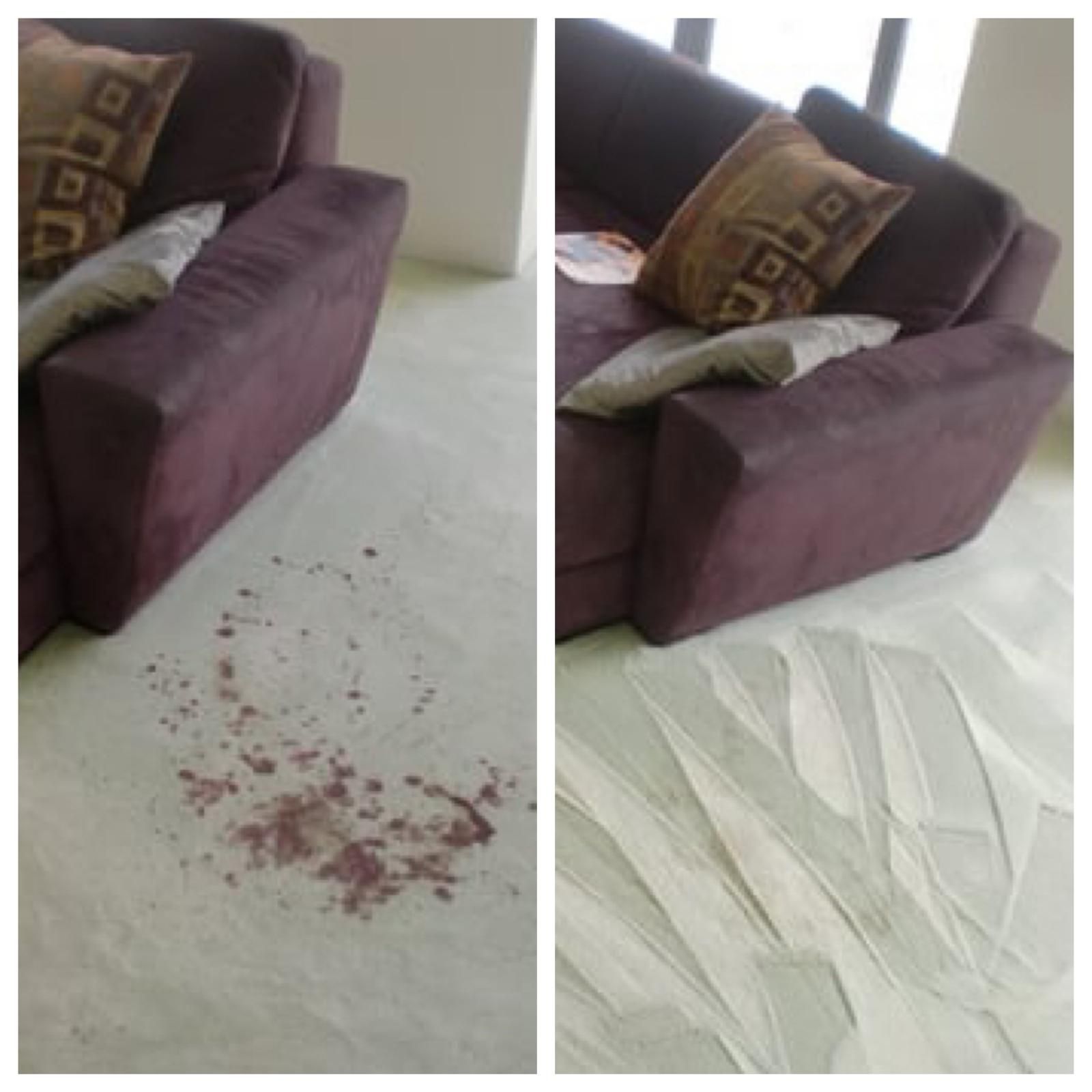 Purple sofa beside a white carpet with a red stain or spill on the floor, shown in two side-by-side views