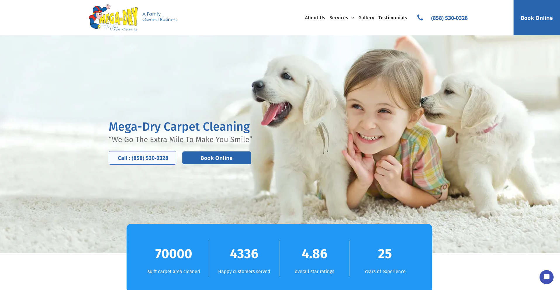 Mega Dry Carpet Cleaning
