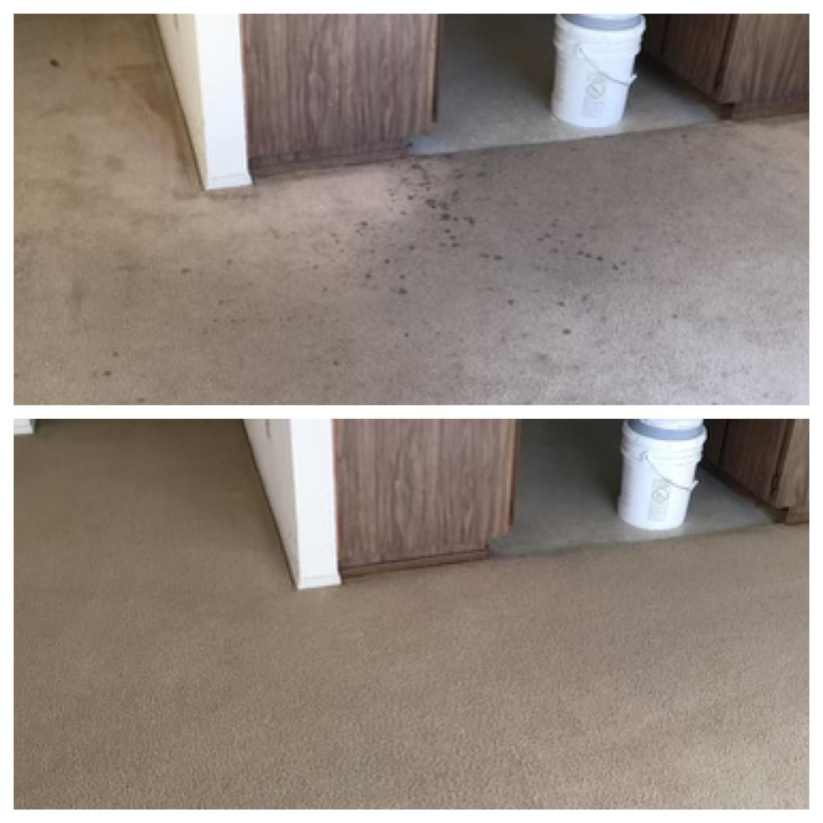 Before-and-after of a carpeted floor cleanup near a cabinet and bucket, showing removed stains.