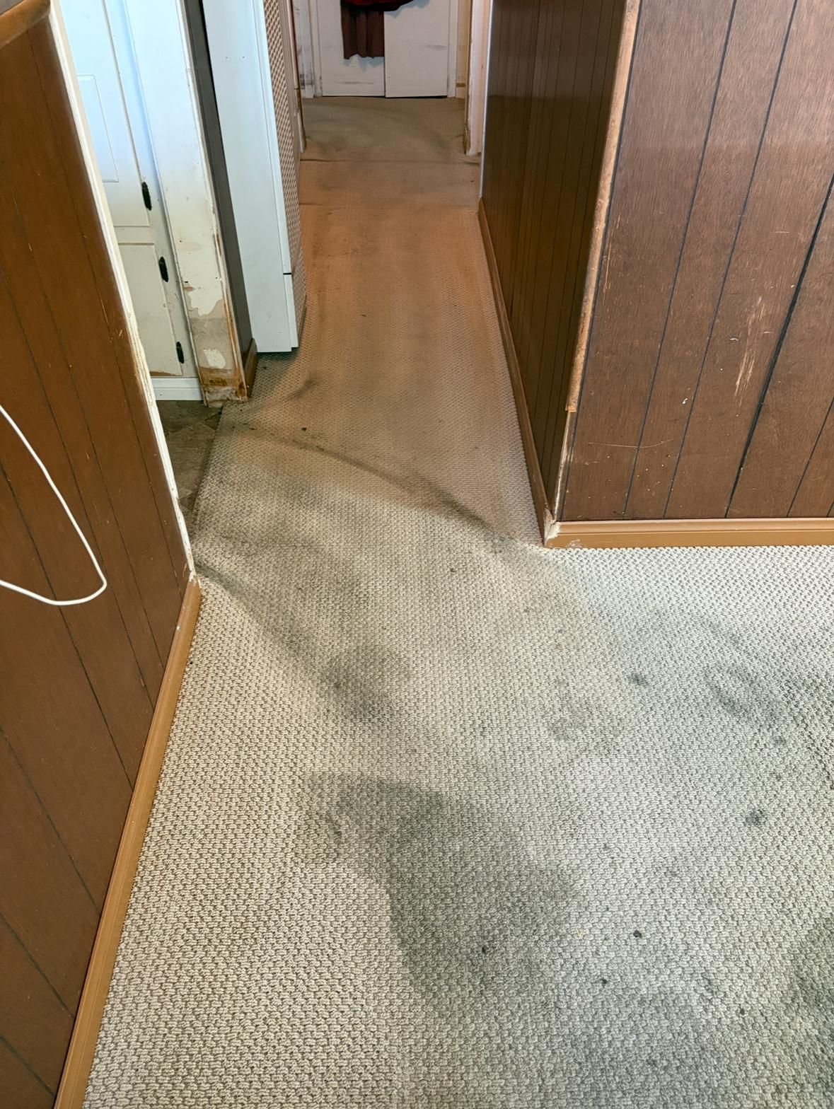 Carpeted hallway with a wooden doorway and a stained beige rug near the entrance.