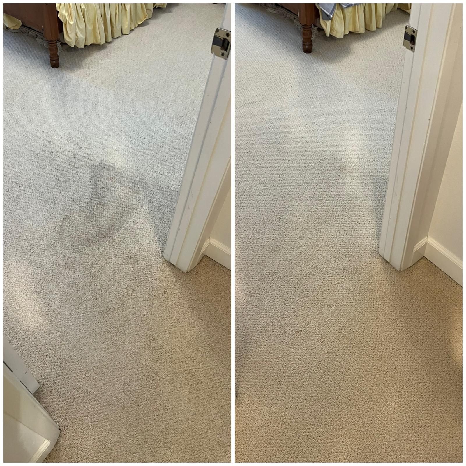 Carpeted hallway with a doorway, showing a dark stain or dirt patch on the floor.
