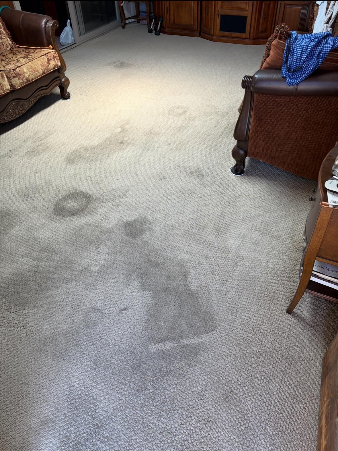Carpeted living room with visible dark stains on the floor near wooden furniture.