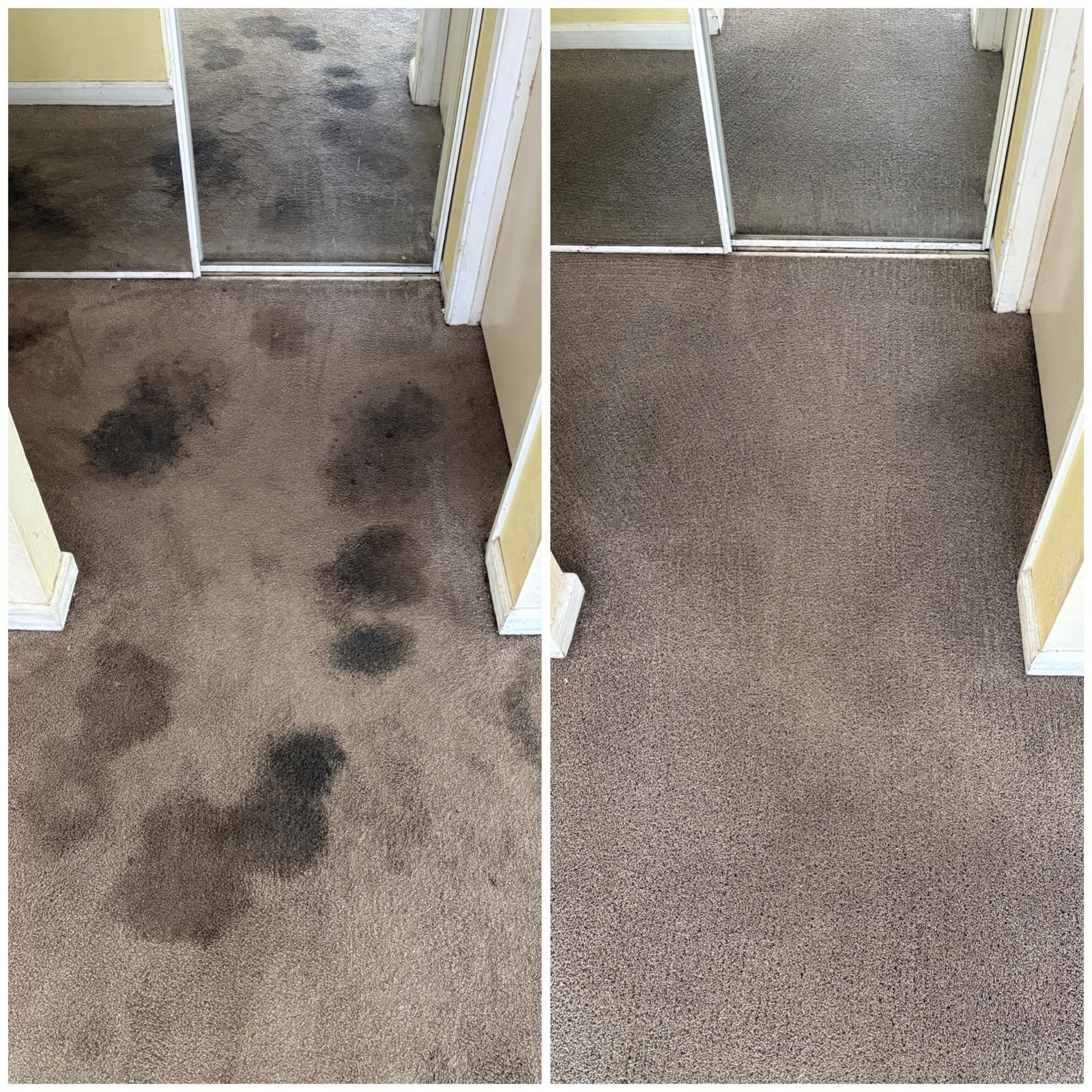 Dirty carpet before and after cleaning, with dark stains removed.