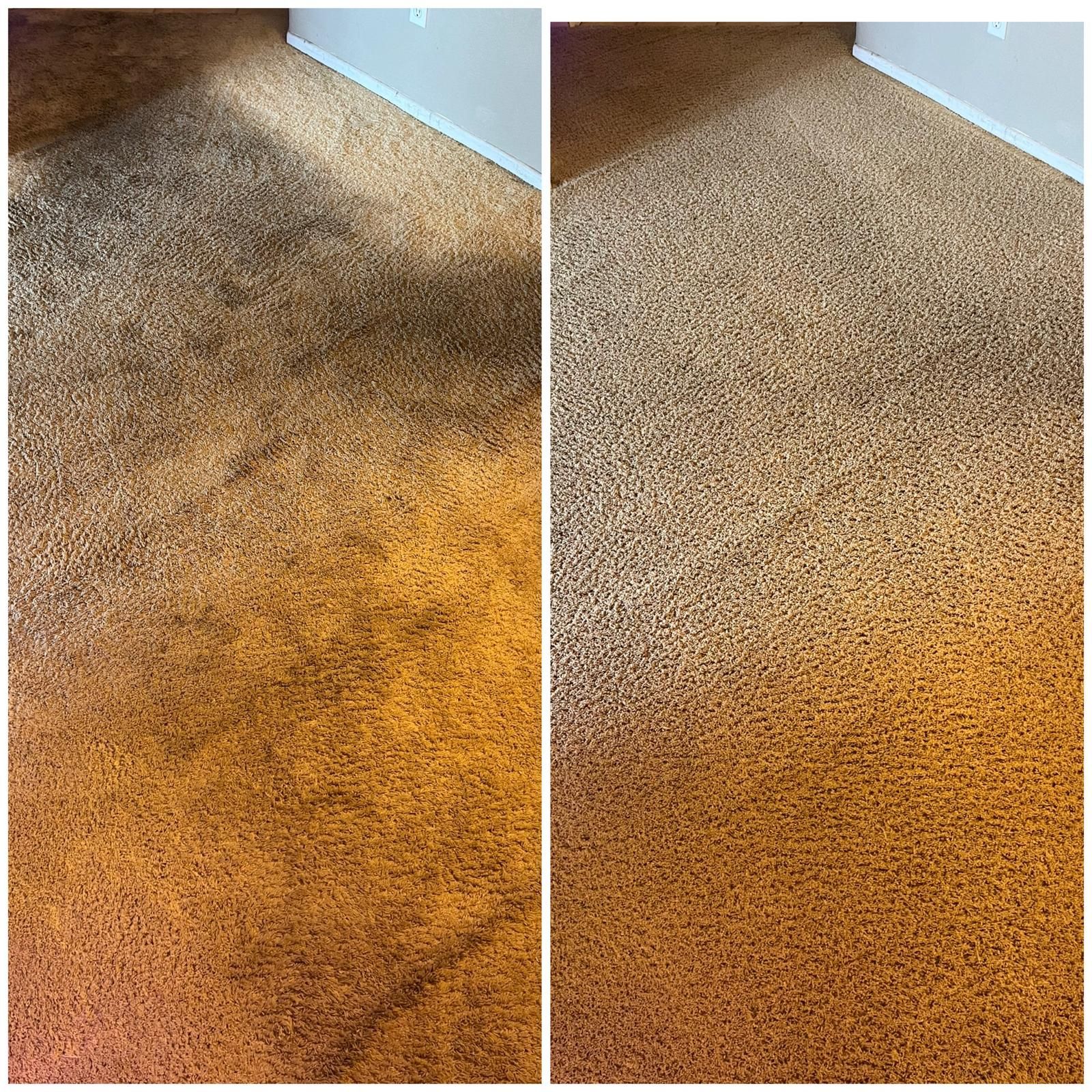 Before-and-after photo of a carpet stain, showing a darkened area beside a cleaner beige section.