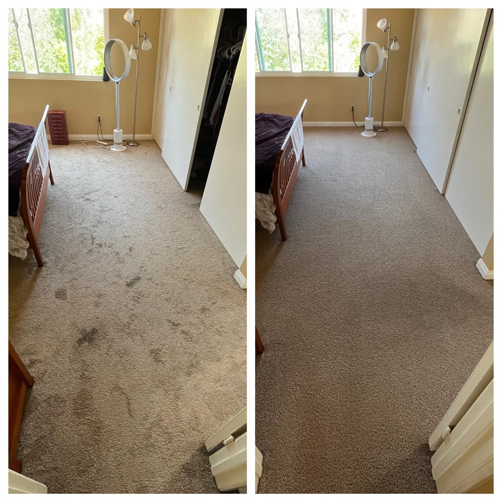 Bedroom carpet before and after cleaning, showing a visibly brighter, cleaner floor on the right.