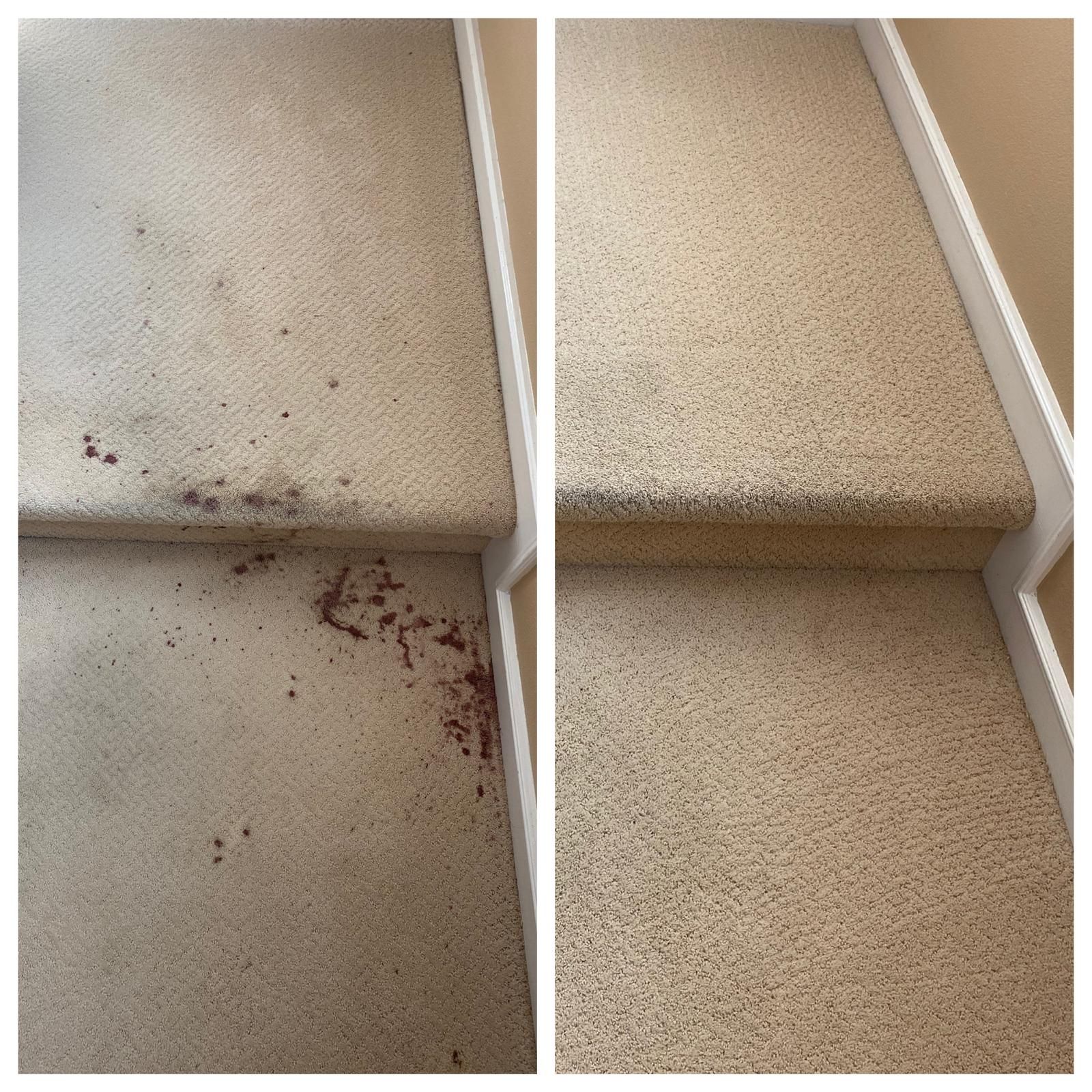 Two carpeted stairs, one with dirt and debris on the edge, one cleaned