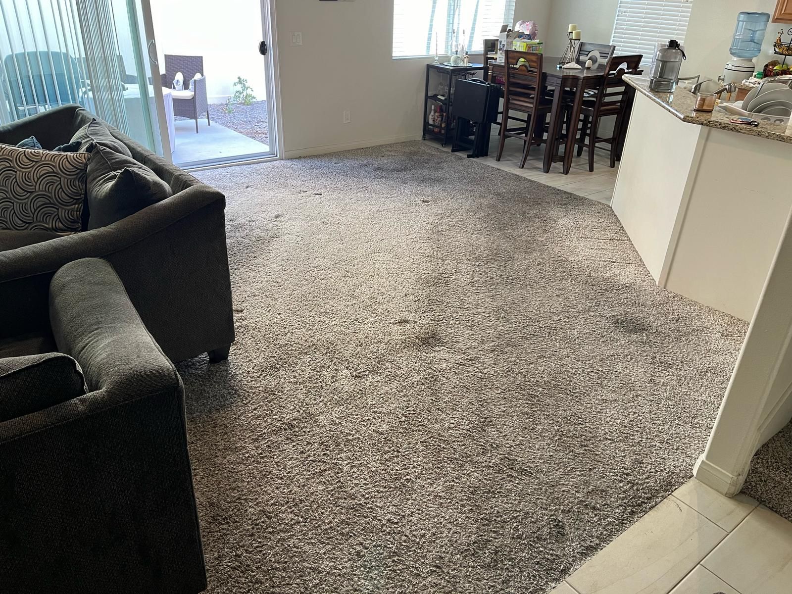 Living room with dark sofa, large beige carpet, and dining area near a bright patio door