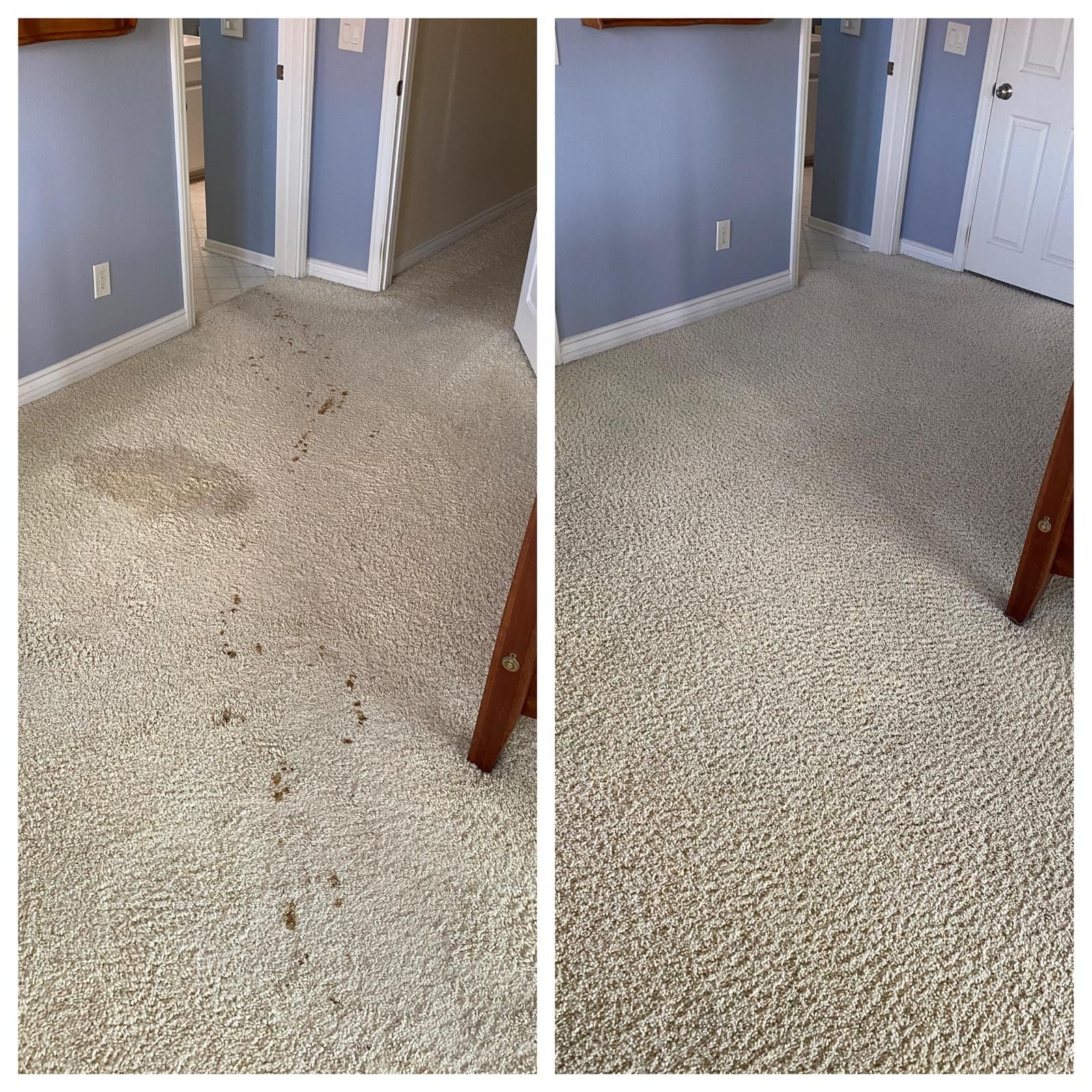 Carpeted hallway with blue walls and white doorways, shown in two side-by-side views.