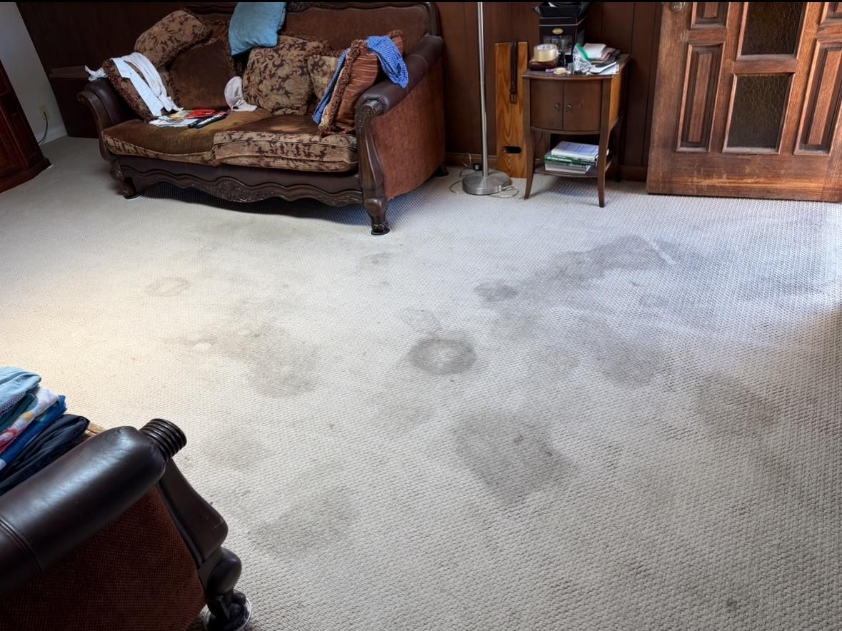 Dusty white carpet in a living room with brown sofas and a wooden cabinet.
