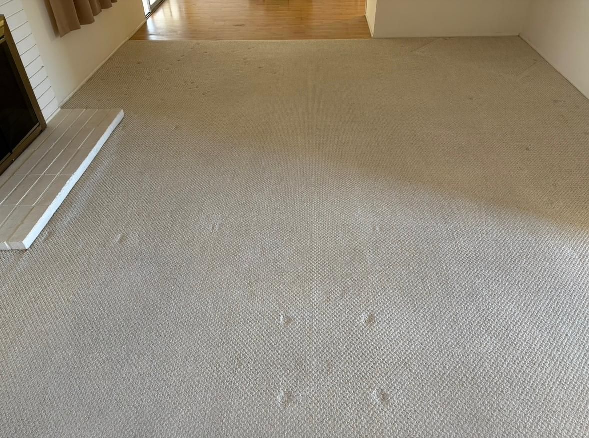 Empty beige carpeted room with white baseboard trim and a doorway at left