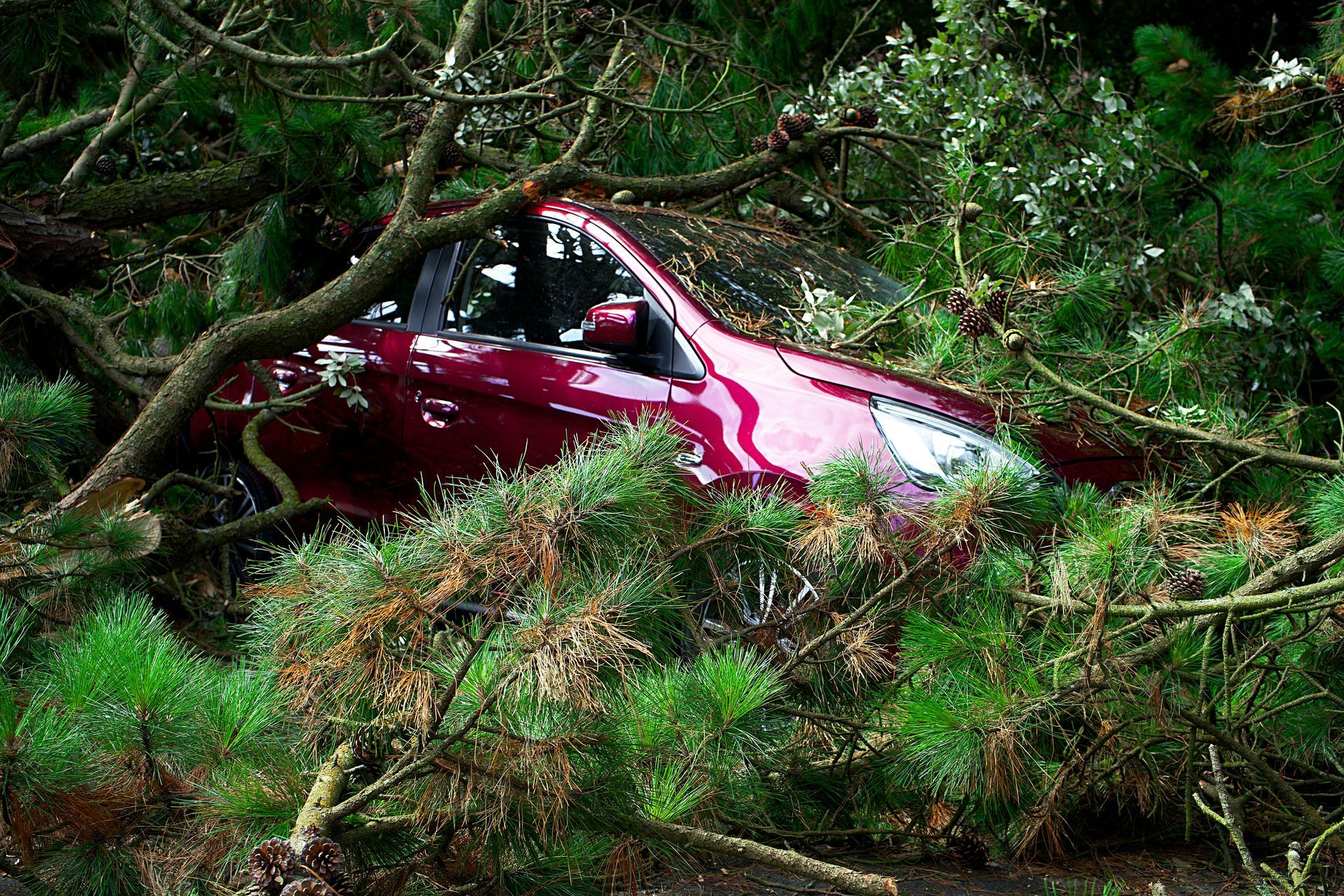 Red car crushed by fallen tree branches in a forest.