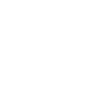 Business White Logo
