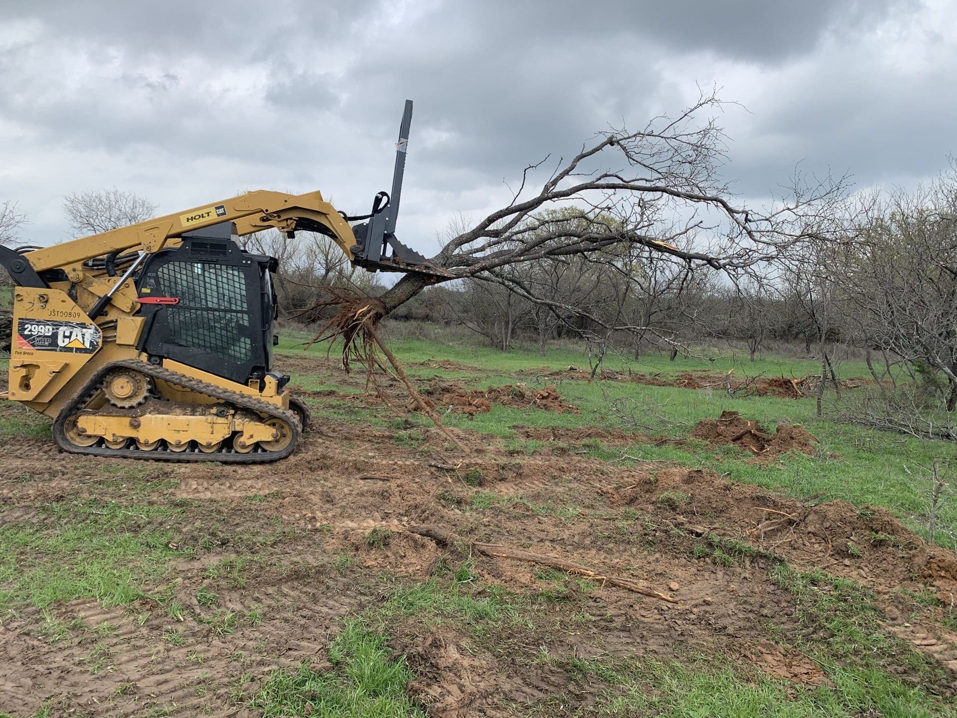 Trackloader pulling trees near Round Rock, Texas. 