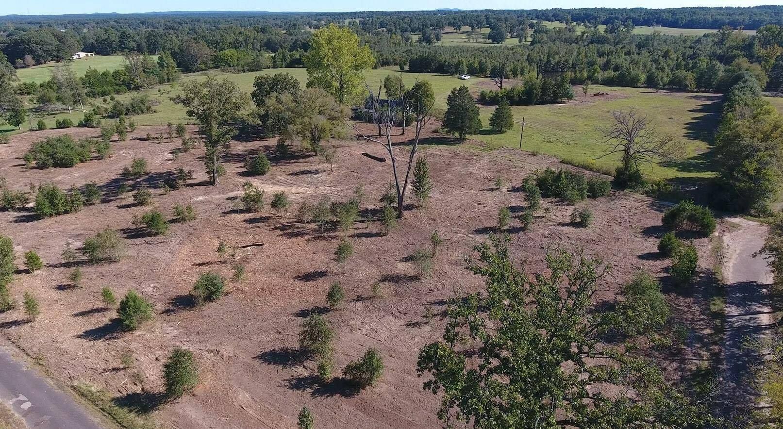 Medium acreage property cleared of brush and trees near Georgetown, TX.