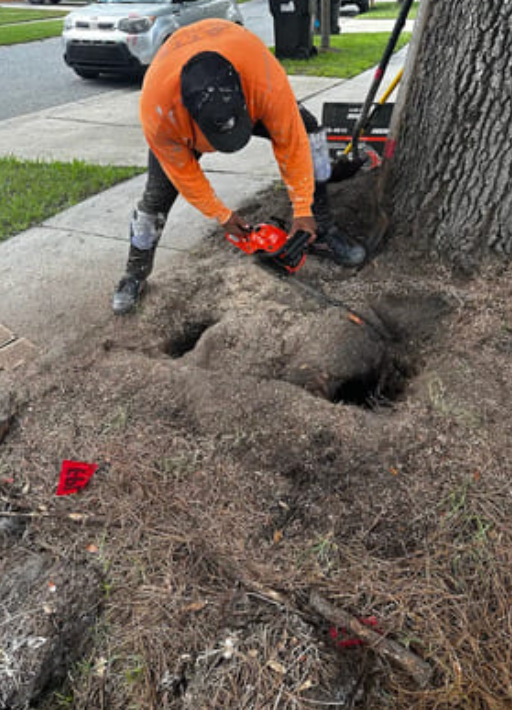 A person in an orange shirt uses a small chainsaw to cut tree roots in a hole near a sidewalk.