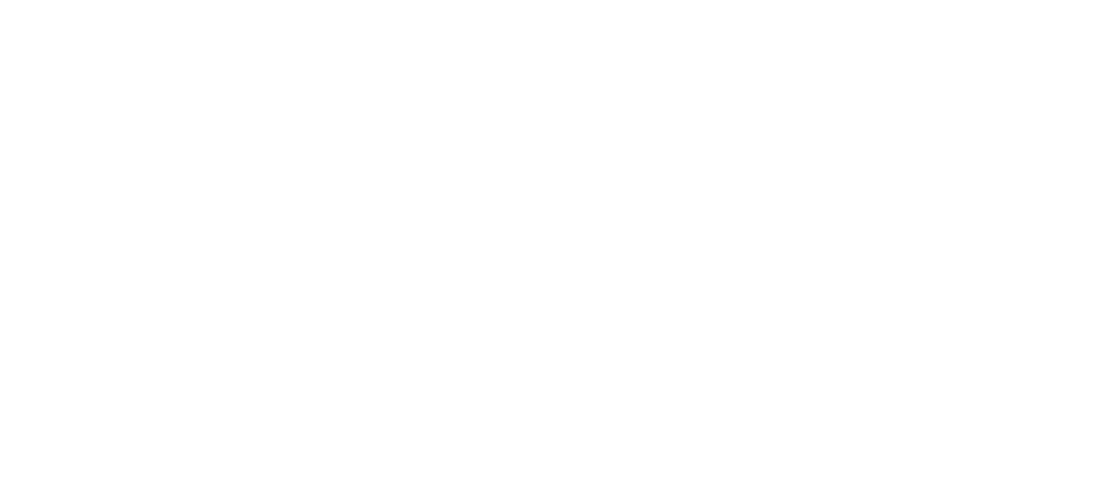 Aldinis Logo
