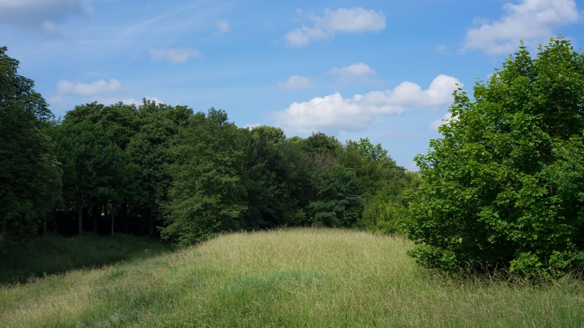 Ambientale