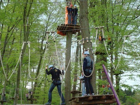 People navigating a treetop adventure course with ropes and platforms in a forest.